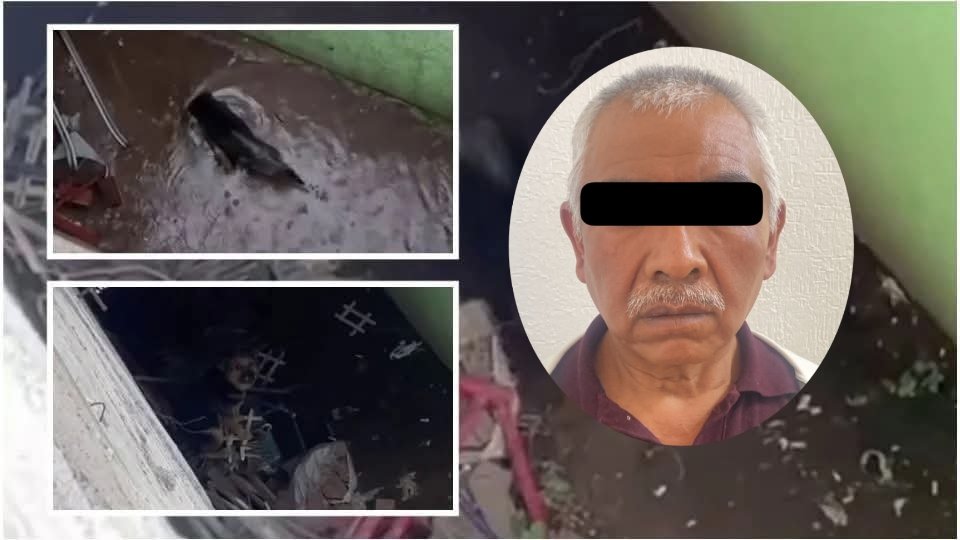 Aprehenden a presunto responsable de maltrato animal en Colinas de Plata, Mineral de la Reforma