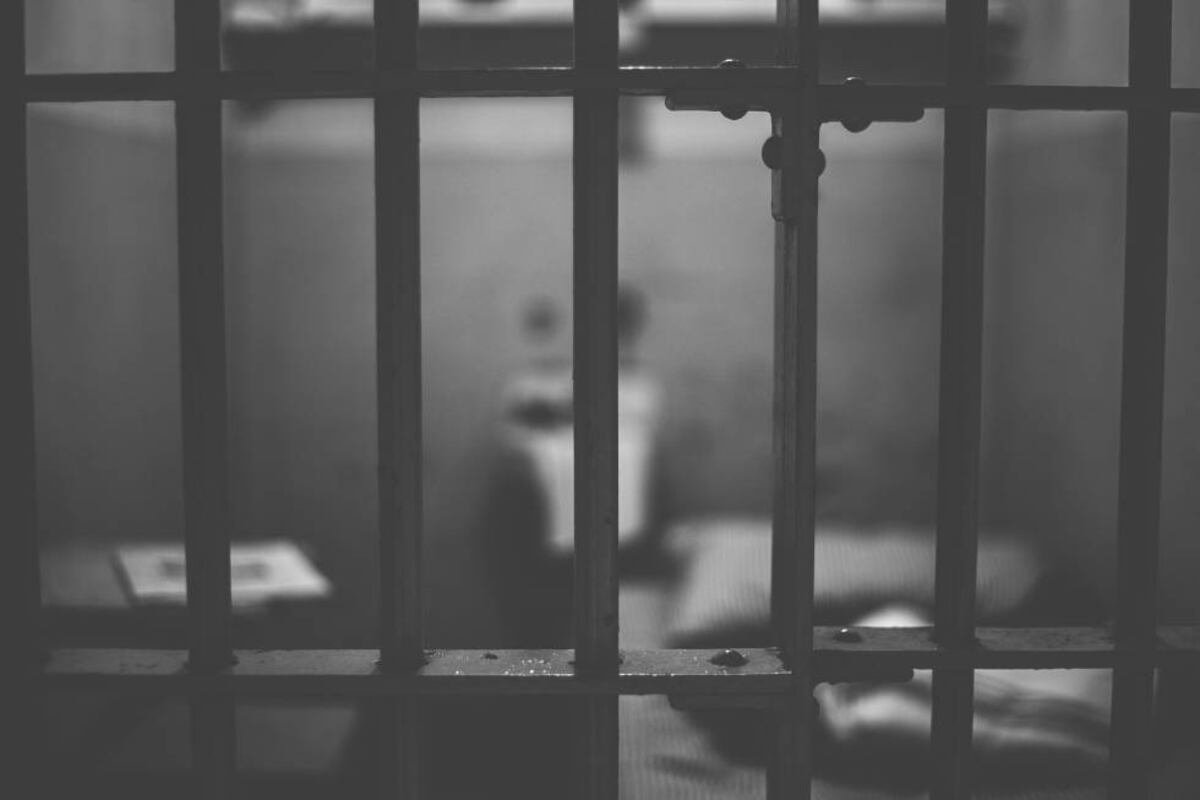 Hombre acusado de matar a un pastor alemán enfrentará proceso en prisión