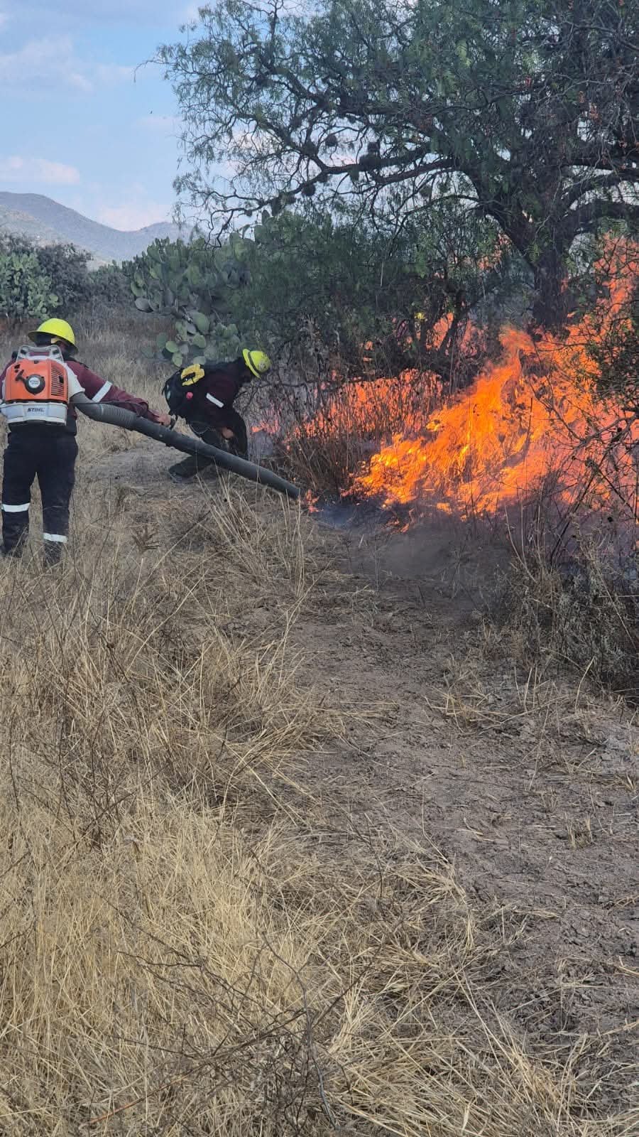 Investigan la PGJEH dos incendios forestales
