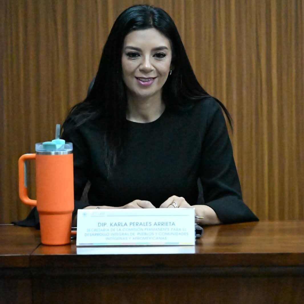 Dirigencia de MC Hidalgo debería ser para una mujer: Perales Arrieta