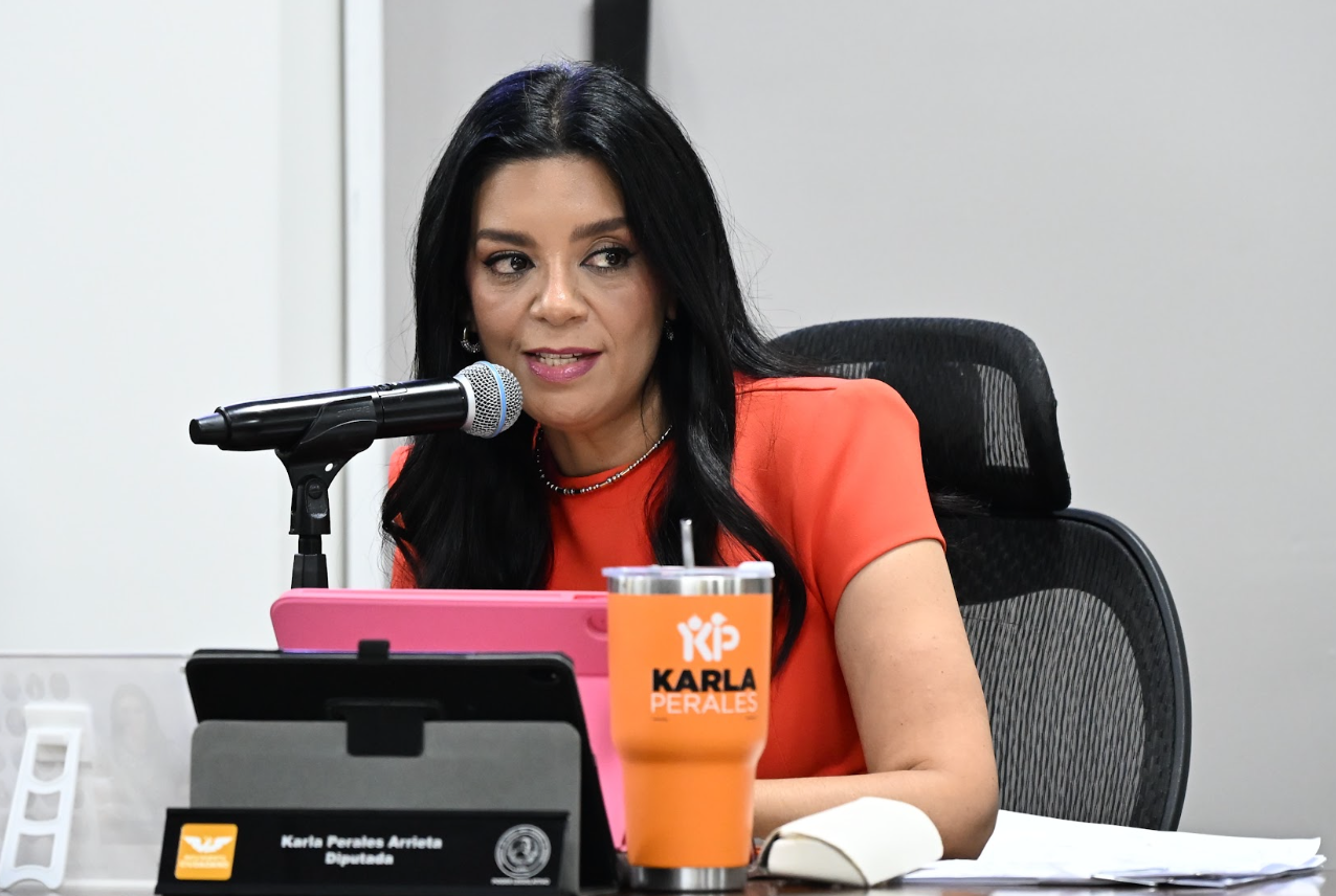 Buscan endurecer penas por delitos sexuales contra menores de 18 años en Hidalgo