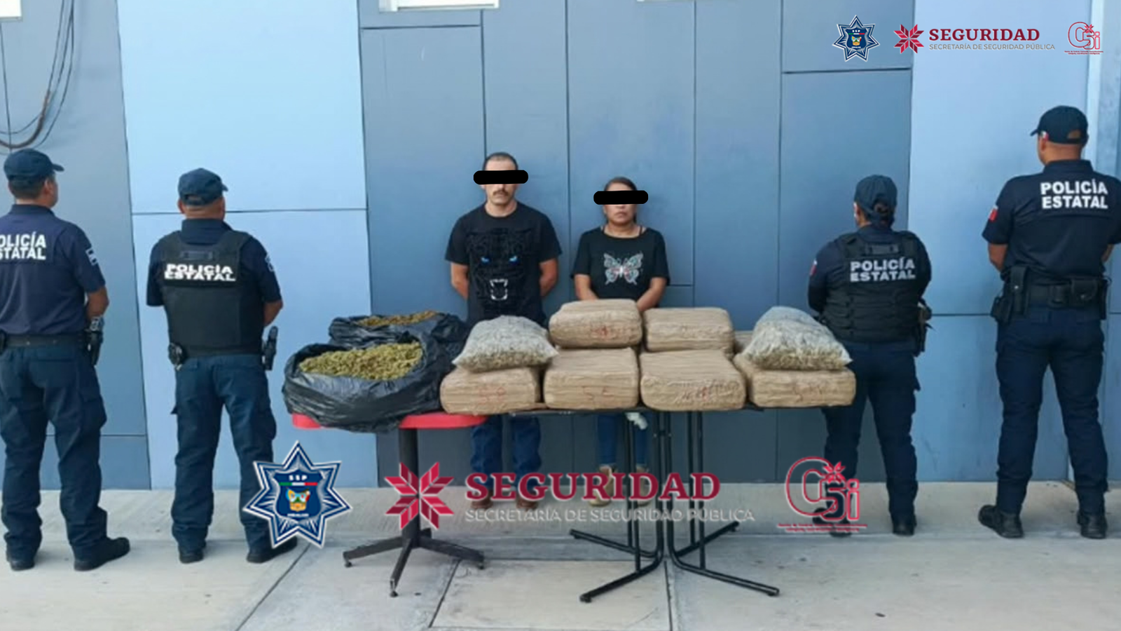 SSPH detiene a pareja que trasladaba 72 kilos de marihuana en Ixmiquilpan